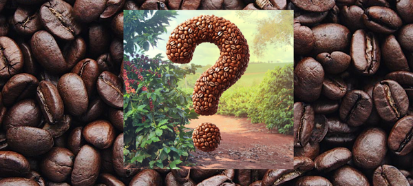 The Coffeeworks Discovery Coffee Bundle December 2025