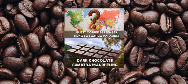 The Coffeeworks Discovery Coffee Bundle September 2025