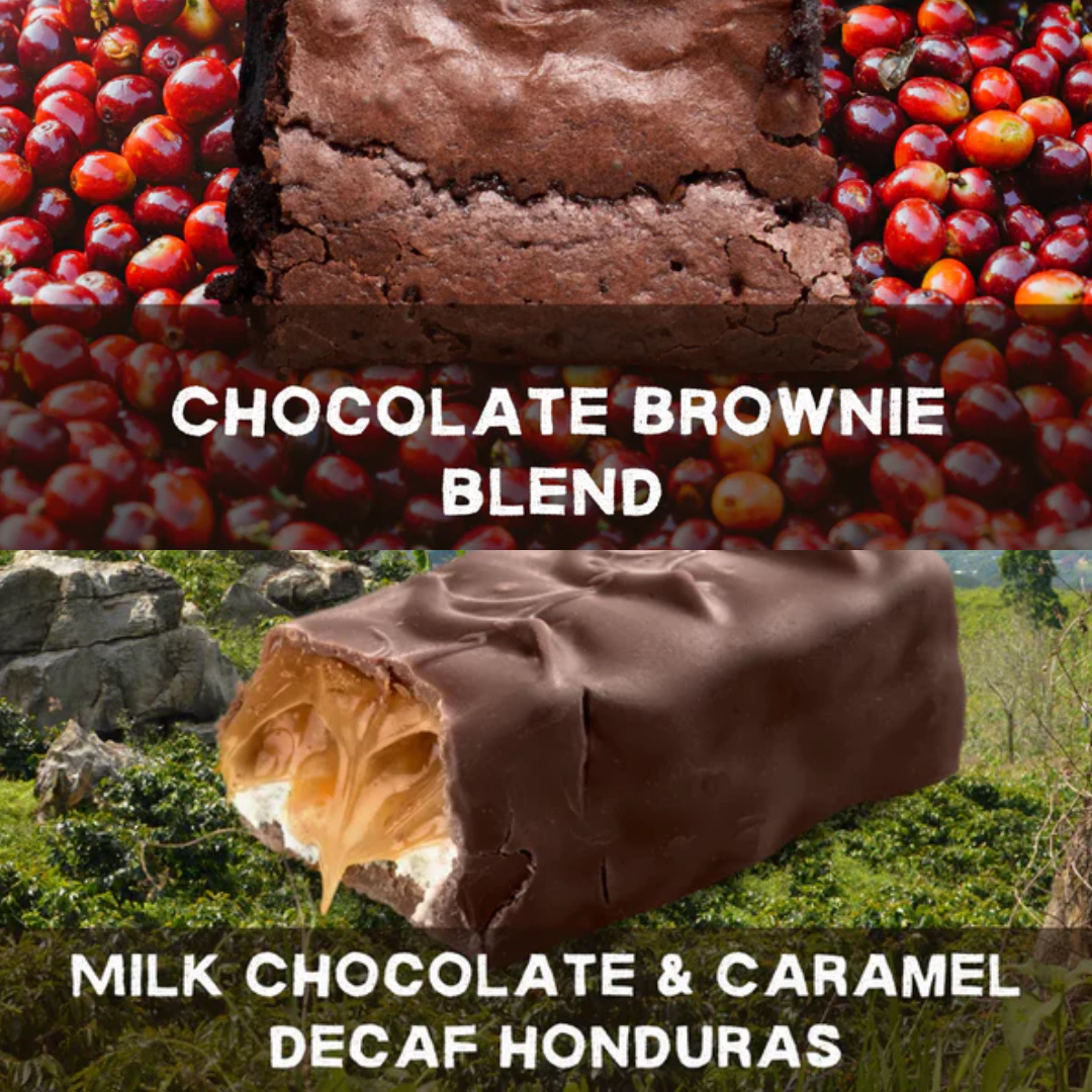 Bundle Deal Choc Brownie + Milk Choc & Caramel Decaf