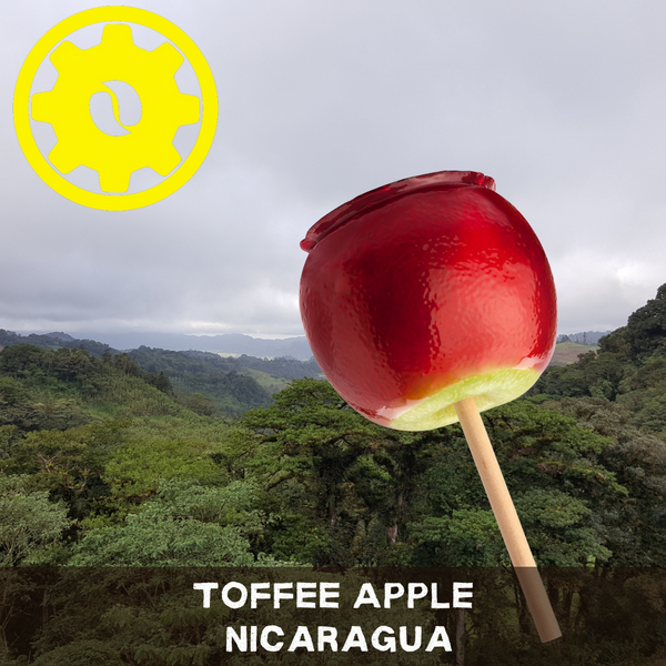 Toffee Apple Nicaragua Gift